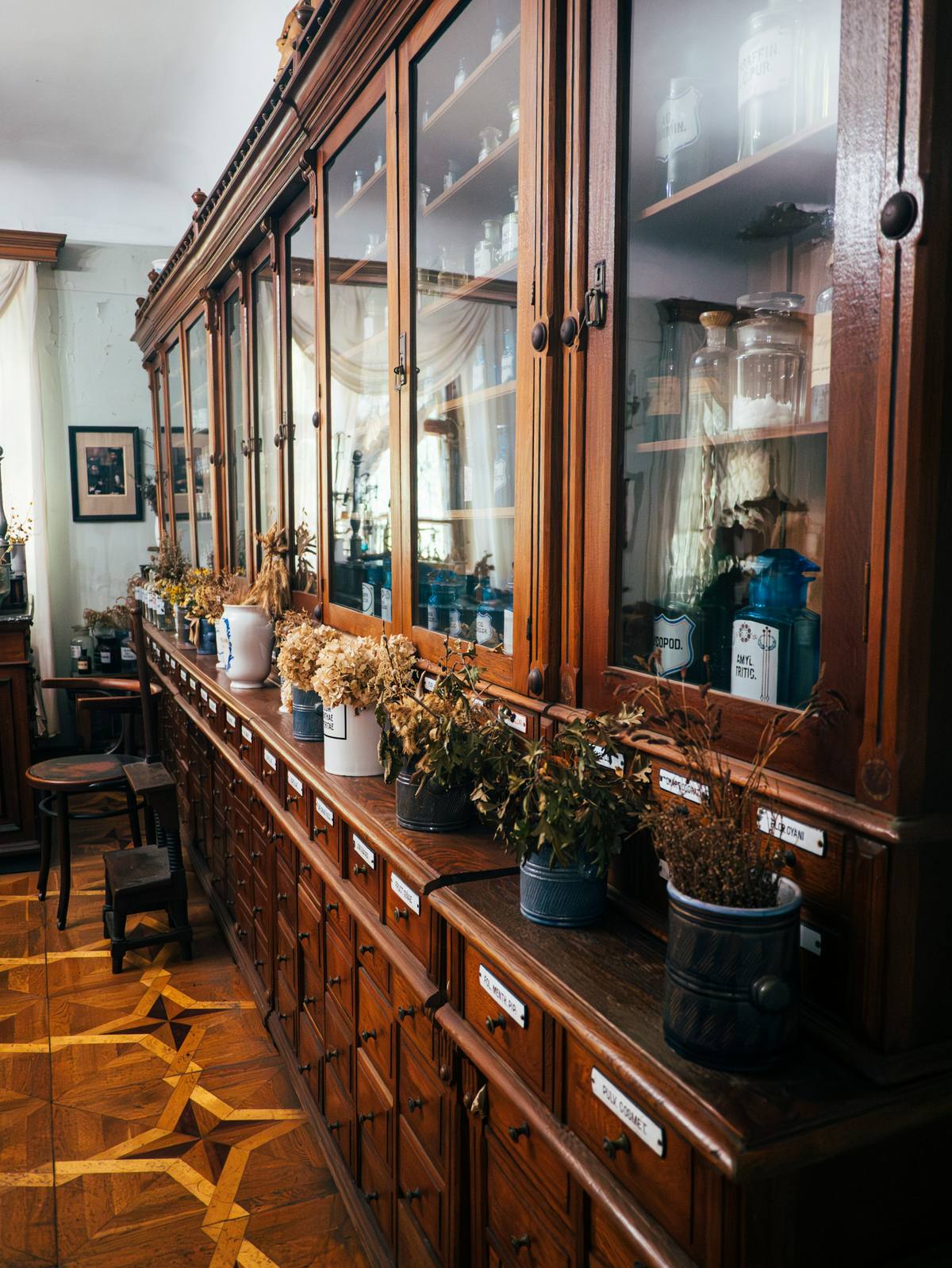 Old apothecary counter with wooden cabinets, glass jars and dried flowers